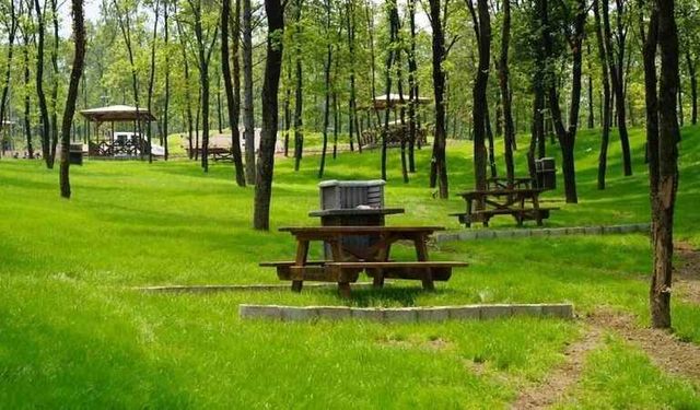 İSKENDERUN ORMAN İŞLETME MÜDÜRLÜĞÜ'NDEN İLAN