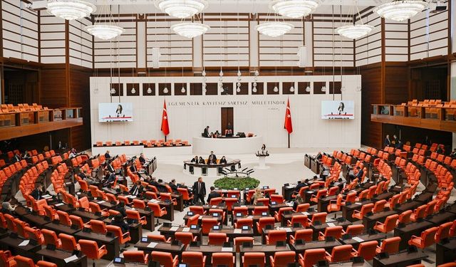 Sosyal medyaya ve doğum iznine yönelik düzenlemeleri de içeren kanun teklifi yasalaştı