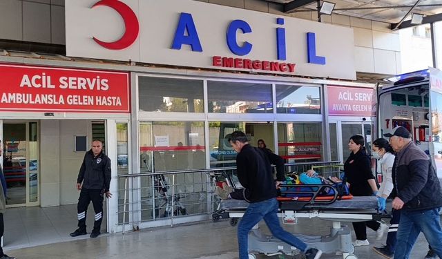 Tarım işçilerini taşıyan minibüs devrildi: 15 yaralı