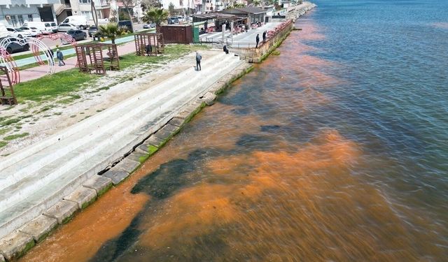 Tekirdağ'da planktonların çoğalması sonucu denizin rengi yer yer değişti