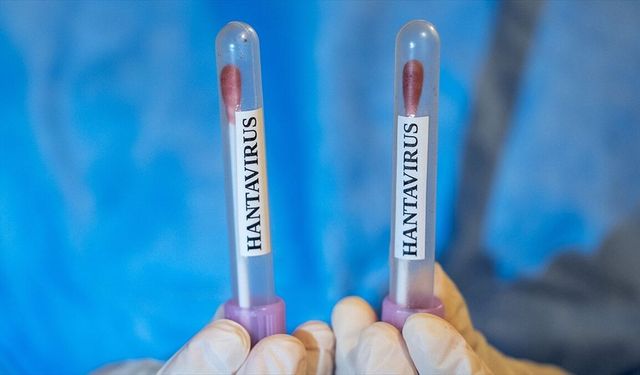 ABD, hantavirüs vakası görülen gemiden vatandaşlarının tahliyesi için uçak gönderecek