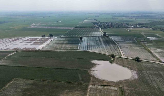 Adana'da tarım arazileri sular altında kaldı