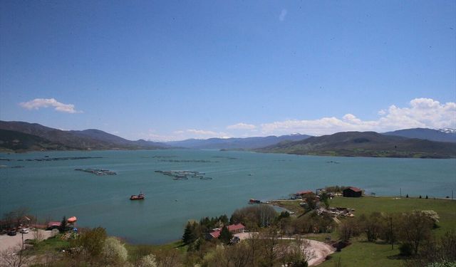 Almus Baraj Gölü'nde doluluk yüzde 82'ye ulaştı