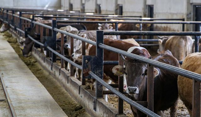 IPARD-III kapsamında 218 projeye 2,5 milyar lira hibe verilecek