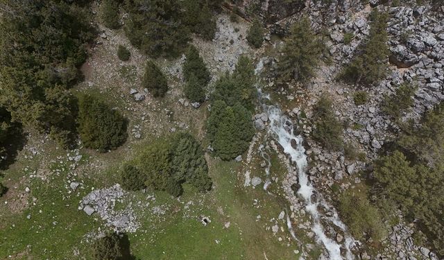 Isparta'da bahar yağmurları doğada dikkat çekici şekiller oluşturdu