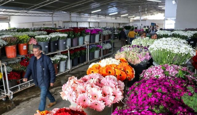 İzmir'den Anneler Günü için 8 milyon dal çiçek