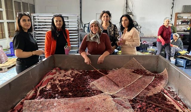 Mersin'de kaymakam eşlerinden kadınlara ziyaret