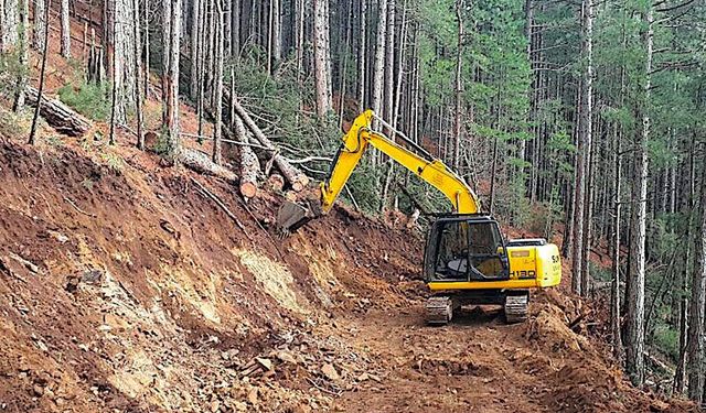 DÖRTYOL ORMAN İŞLETME MÜDÜRLÜĞÜNDEN İLAN