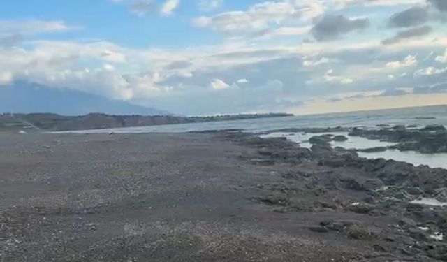 Arsuz Sahillerinde Şaşırtan Görüntü