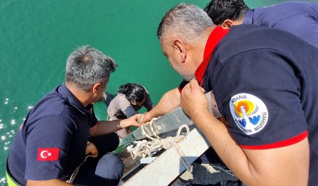 Adana'da köprüden nehre düşen kadını itfaiye ekipleri kurtardı