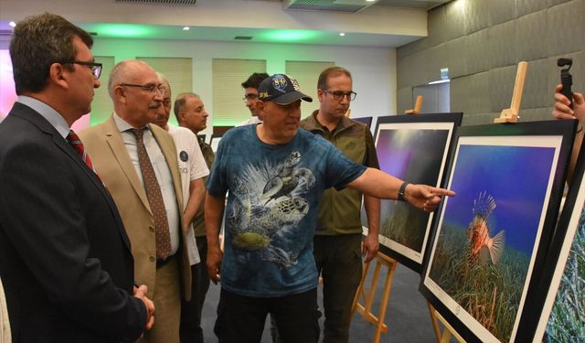 Antalya'da 'Dünya Deniz Kaplumbağaları Günü' etkinliği düzenlendi
