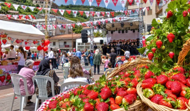 Yayladağı'nda Çilek Ve Müzik Şöleni Başlıyor! Festival Tarihi Belli Oldu