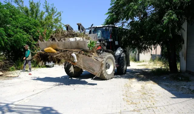 Defne'de Temizlik Seferberliği: Ekipler İlçenin Her Noktasında!
