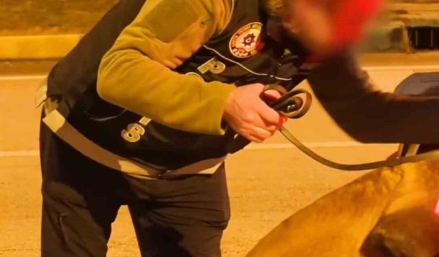 Isparta'da narkotikten bir haftada 18 operasyon, 3 tutuklama