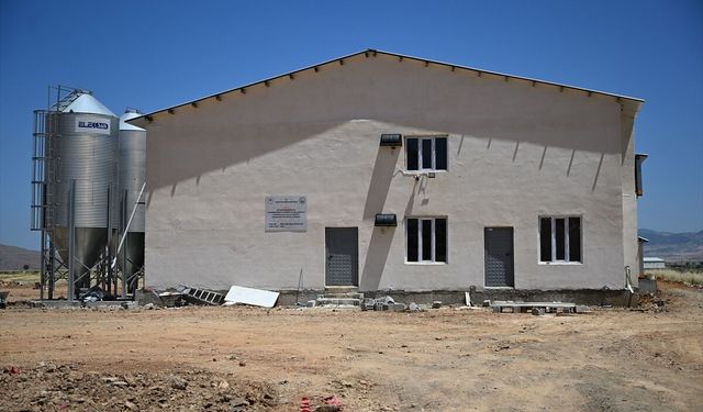 Kahramanmaraşlı genç girişimcilerin tavuk çiftliği kurma hayali devlet desteğiyle gerçek oldu