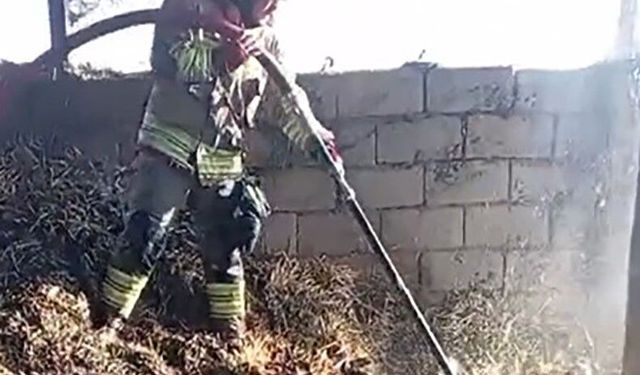 Kahramanmaraş'ta ahır yangını korkuttu