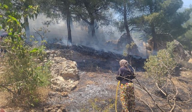 Kahramanmaraş'ta çıkan orman yangını kontrol altına alındı