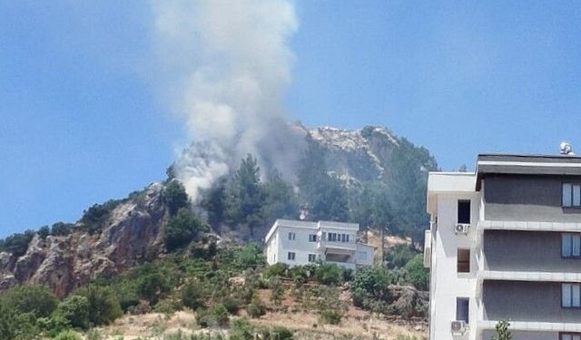 Kahramanmaraş'ta orman yangını