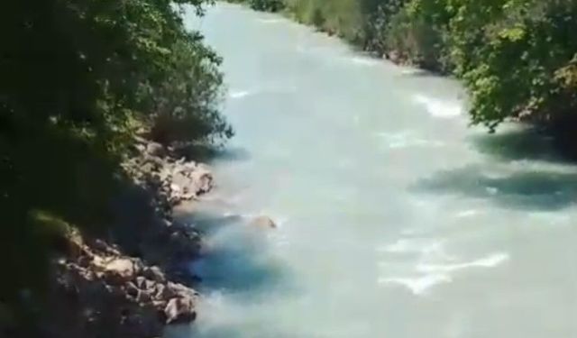 Kaybolduğu yerde son çektirdiği fotoğrafı ortaya çıktı