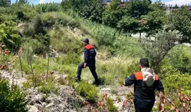 Defne’de Kaybolan Yaşlı Adam Sağ Salim Bulundu!