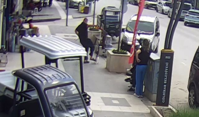 Köpeğine saldıran kediye tekme attı, o anlar kameraya yansıdı