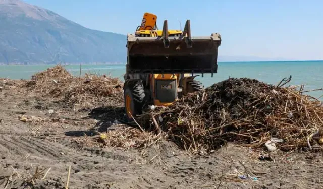 Samandağ Sahili’nde Kaplumbağaların Önündeki Tonlarca Atık Kaldırıldı!