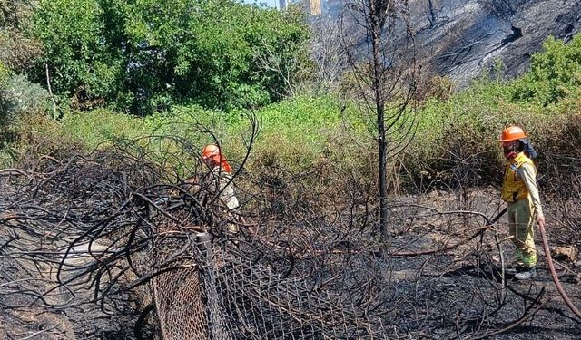 Tarsus'ta otluk alanda çıkan yangın söndürüldü