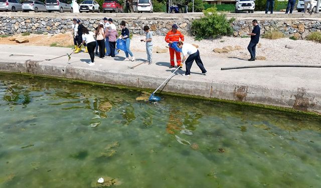 Tuzla'da öğrenciler kıyı temizliği için sahaya indi