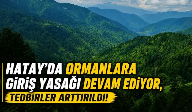 Hatay’da Ormanlara Giriş Yasağı Devam Ediyor, Tedbirler Arttırıldı!