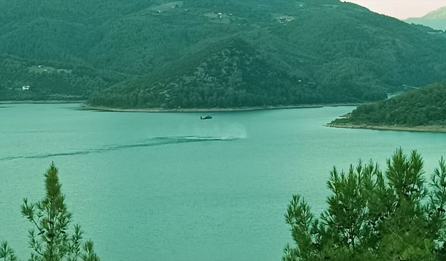 Adana'da ormanlık alanda yangın çıktı