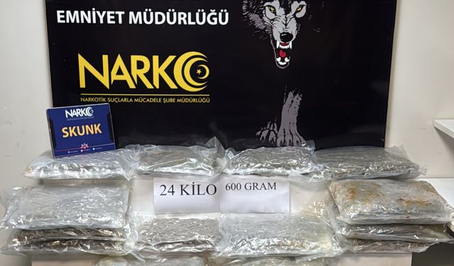 Adana'da tırda 24 kilo 600 gram sentetik uyuşturucu ele geçirildi
