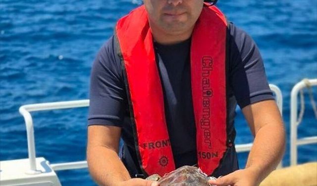 Alanya'da çuvala dolanan caretta carettayı tur teknesinin kaptanı kurtardı