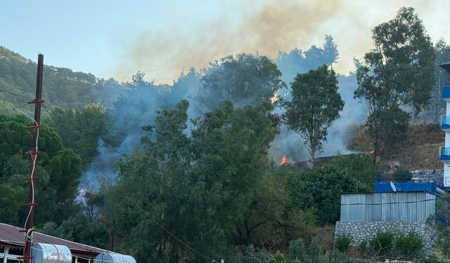 Anamur ilçesinde ağaçlık alanda çıkan yangın söndürüldü