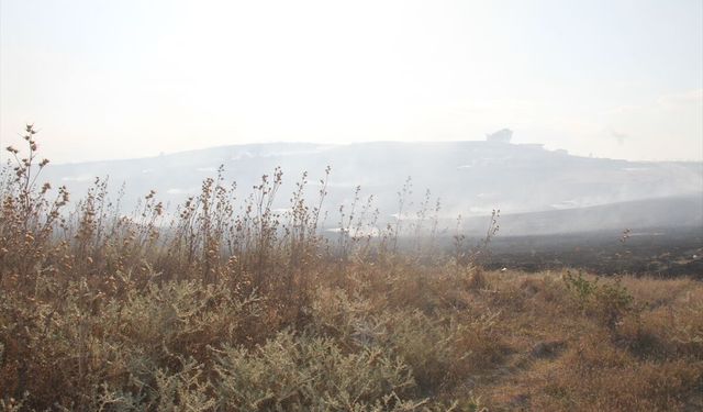 Antalya'da çıkan anız yangını kontrol altına alındı