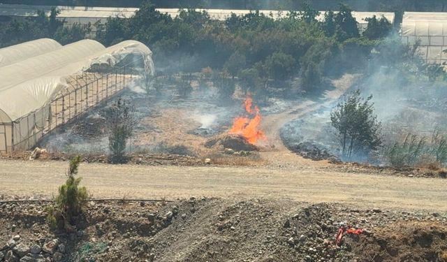 Antalya'da iki ayrı sera alanı ve bahçede çıkan yangında hasar oluştu