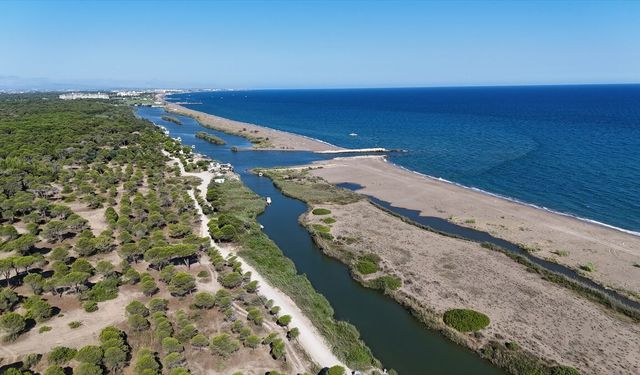 Antalya'da Kumköy Sahili'nde halk plajı için ön tahsis kararı
