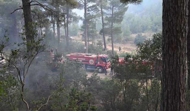 Antalya'da ormanlık alanda çıkan yangına müdahale ediliyor