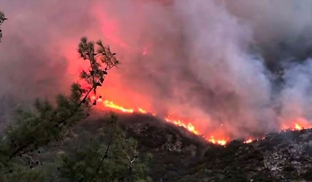 Antalya'nın Kaş ilçesinde orman yangını çıktı