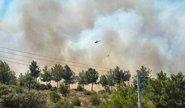 Antalya'nın Kumluca ilçesinde orman yangını çıktı