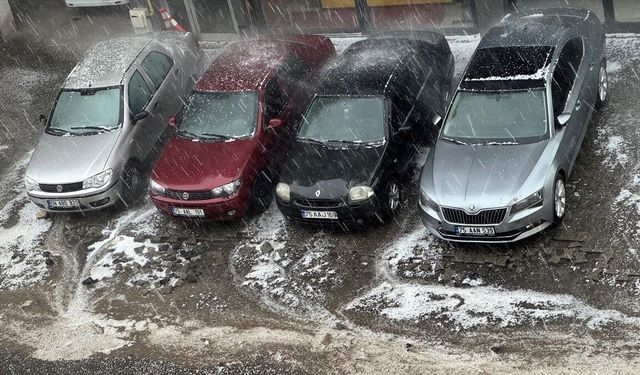 Ardahan'da sağanak ve dolu etkili oldu