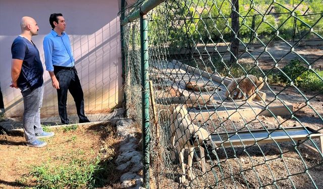 Bozyazı Kaymakamı Tuncay Topsakaloğlu hayvan barınağını inceledi