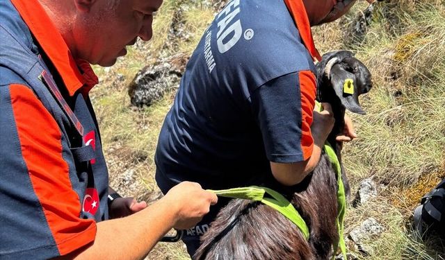 Burdur'da dağlık alanda mahsur kalan keçi kurtarıldı