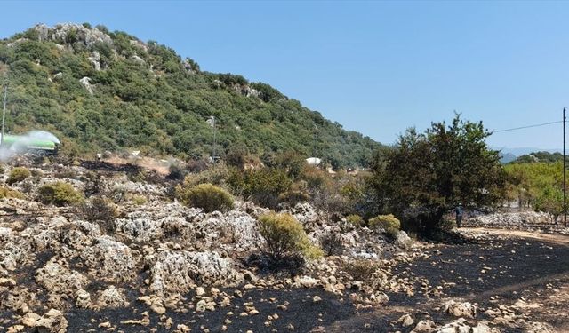Demre'de çıkan orman yangını kontrol altına alındı