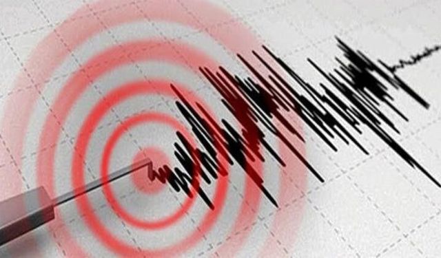 DAF'ta Sismik Hareketlilik: Hataylıların Endişe Ettiği Soruya Yanıt Geldi!