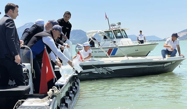 Eğirdir Gölü'ne 100 bin yavru sazan bırakıldı