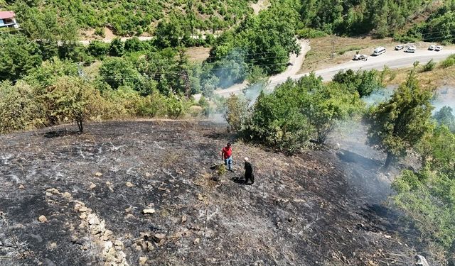 GÜNCELLEME - Adana'nın Feke ilçesinde çıkan orman yangını kontrol altında