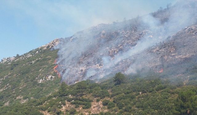 GÜNCELLEME - Kaş'ta başlayan orman yangınının enerjisi düşürüldü