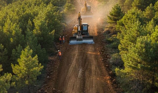 DÖRTYOL ORMAN İŞLETME MÜDÜRLÜĞÜNDEN İLAN