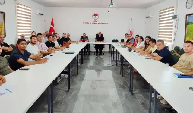 Hatay'da Kanatlı İşletmelere Yeni Zorunluluk: 12 Ay Süre Verildi!
