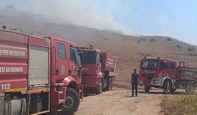 Hatay'da makilik alana sıçrayan anız yangını söndürüldü